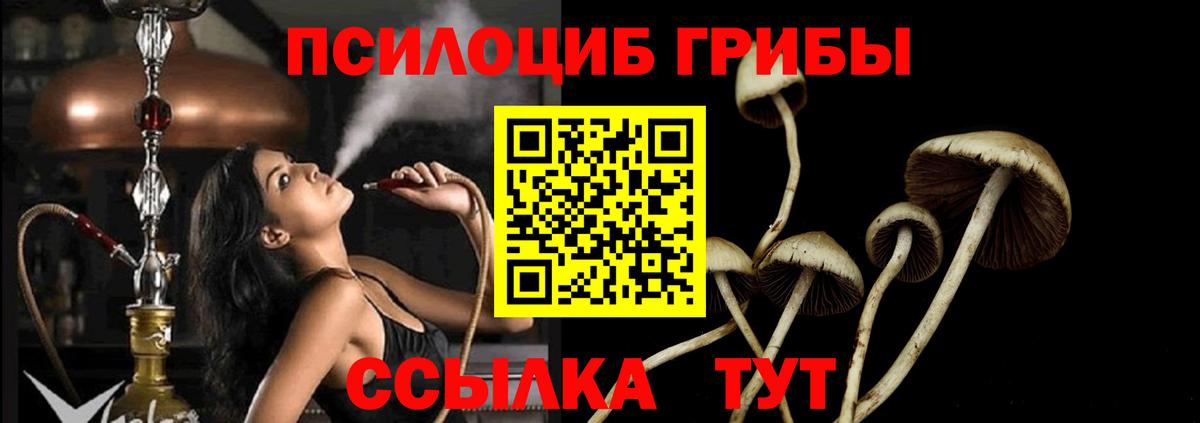 Пушкино  Псилоцибиновые грибы MAGIC MUSHROOMS  Вход с VPN  Псилоцибиновые грибы Cubensis 